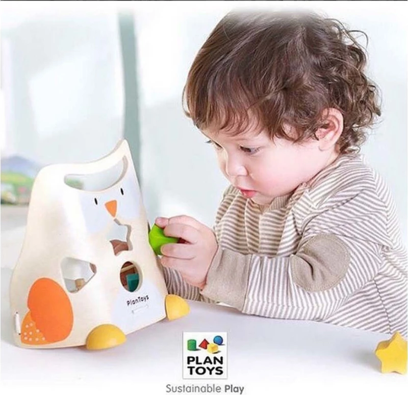 Plan Toys Κουκουβάγια Ταξινόμησης