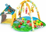 Ecotoys Happy Space Play Gym