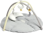 Mamas & Papas Dream Upon A Cloud