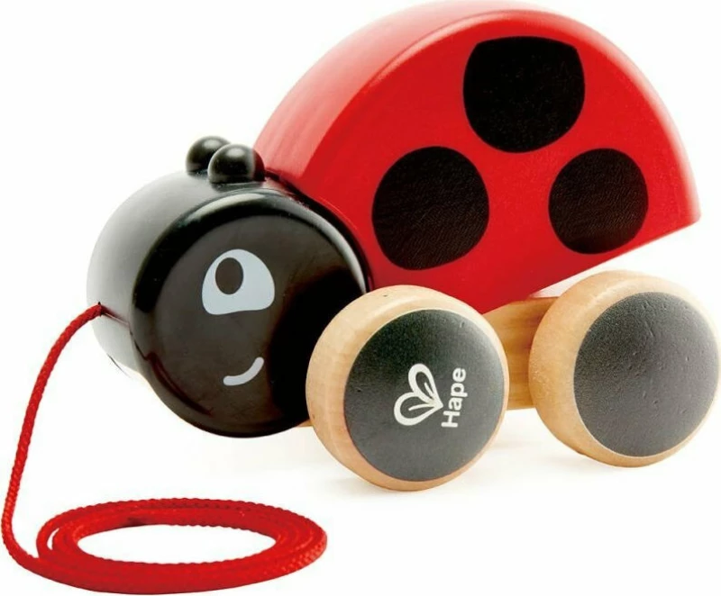 Hape Push & Pull Ξύλινη Συρόμενη Πασχαλίτσα