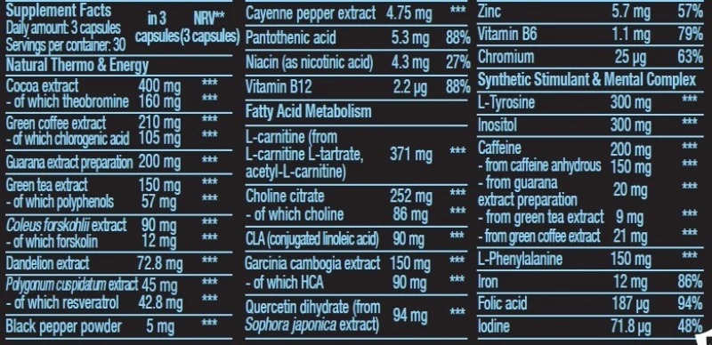 Biotech USA Black Burn 90 κάψουλες