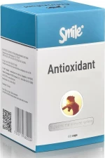 AM Health Smile Antioxidant 60 κάψουλες