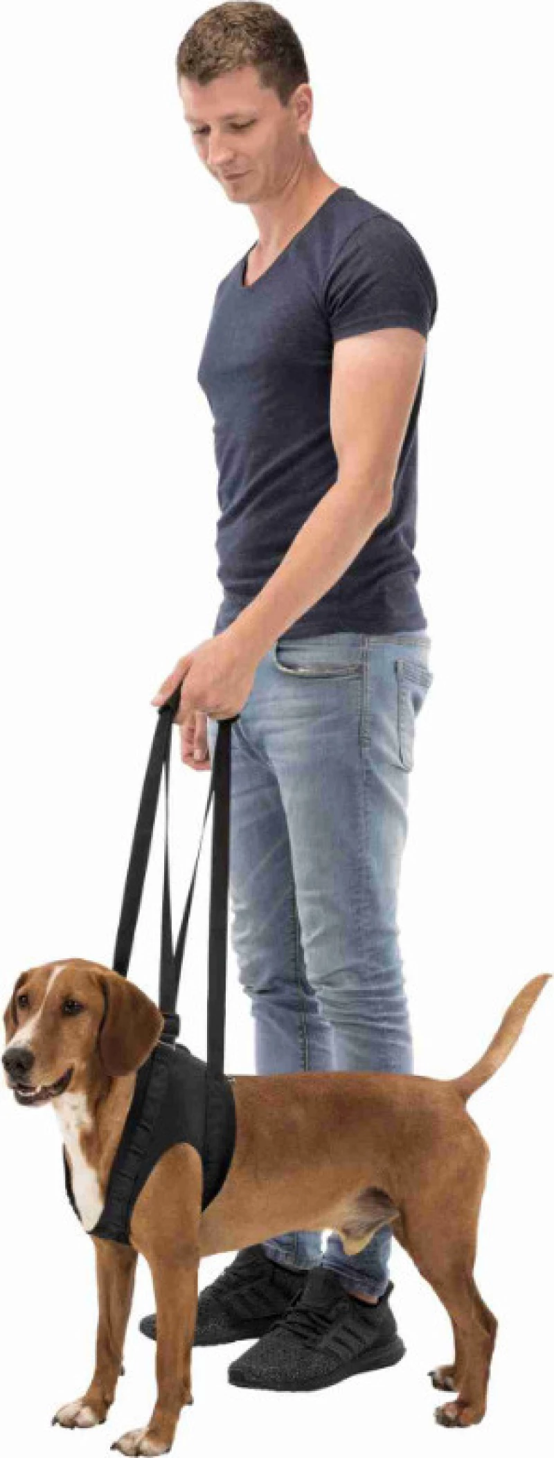 Trixie Σαμαράκι Σκύλου Αναπηρικό Μαύρο Medium 55 - 65cm