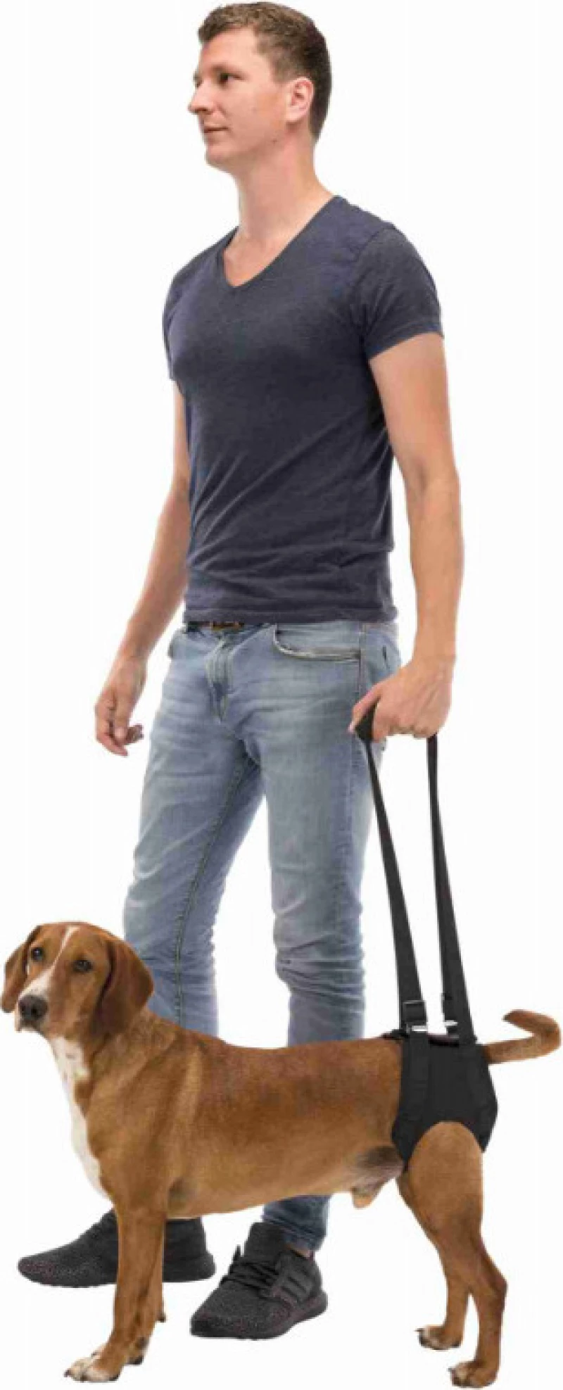 Trixie Σαμαράκι Σκύλου Αναπηρικό Μαύρο Medium 55 - 65cm