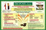 Biosline Biokap 60 ταμπλέτες