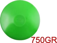 ΕΚΠΑΙΔΕΥΤΙΚΟΣ ΔΙΣΚΟΣ 750GR ΠΡΑΣΙΝΟΣ