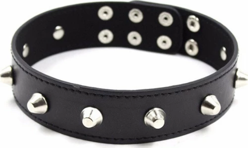 Faux Leather Collar with Spikes Black