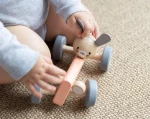 Plan Toys Αγωνιστικό Αυτοκίνητο με Λαγουδάκι