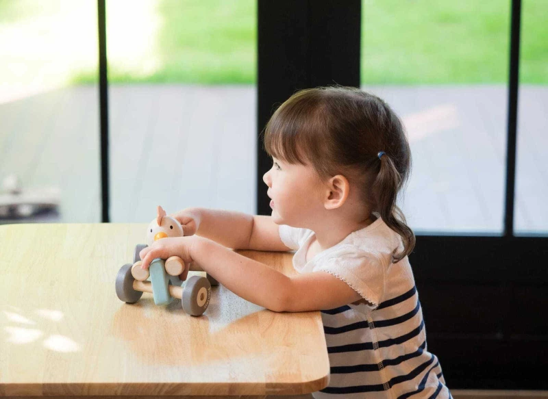 Plan Toys Αγωνιστικό Αυτοκίνητο με Λαγουδάκι
