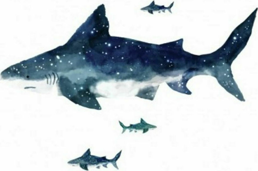 Αυτοκόλλητο Τοίχου Shark
