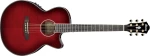 IBANEZ AEG24II-THS