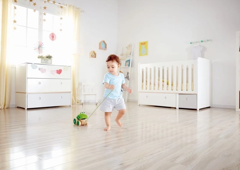 Hape Push & Pull Ξυλινο Συρομενο Βατραχακι - E0361