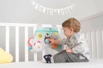 Taf Toys Laptoy Activity Center