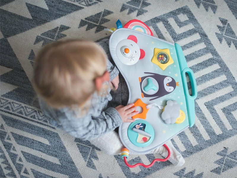 Taf Toys Laptoy Activity Center